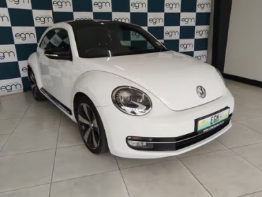 17749VWBeetle003-th.jpg